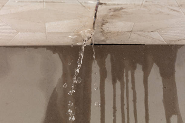 Professional Structural Drying technician working in McConnelsville, OH